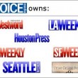 Village Voice Media