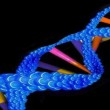double helix
