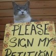 phony petition