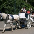 horsecarriage1