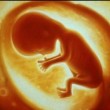 unborn-baby