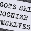 Bigots-rotate2