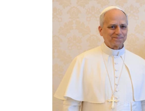 POPE LEO XIV STRESSES CHARACTER FORMATION