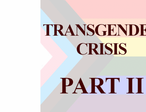 TRANSGENDER CRISIS MARKS PRIDE MONTH: PART II