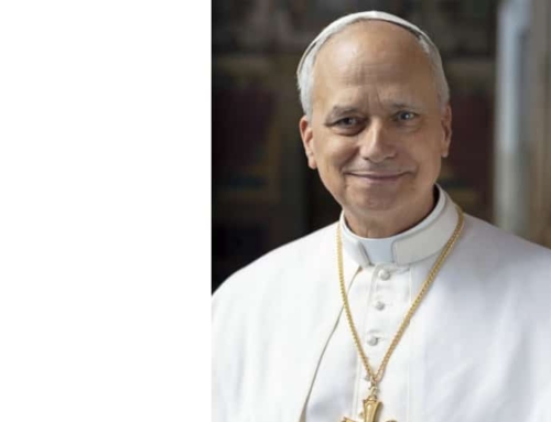 SMEAR MERCHANTS ATTACK POPE LEO XIV