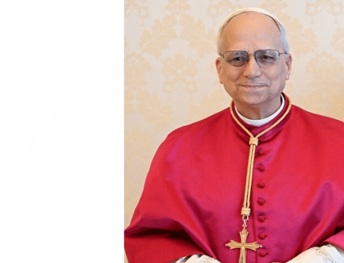 Calling the Pope “Liberal”